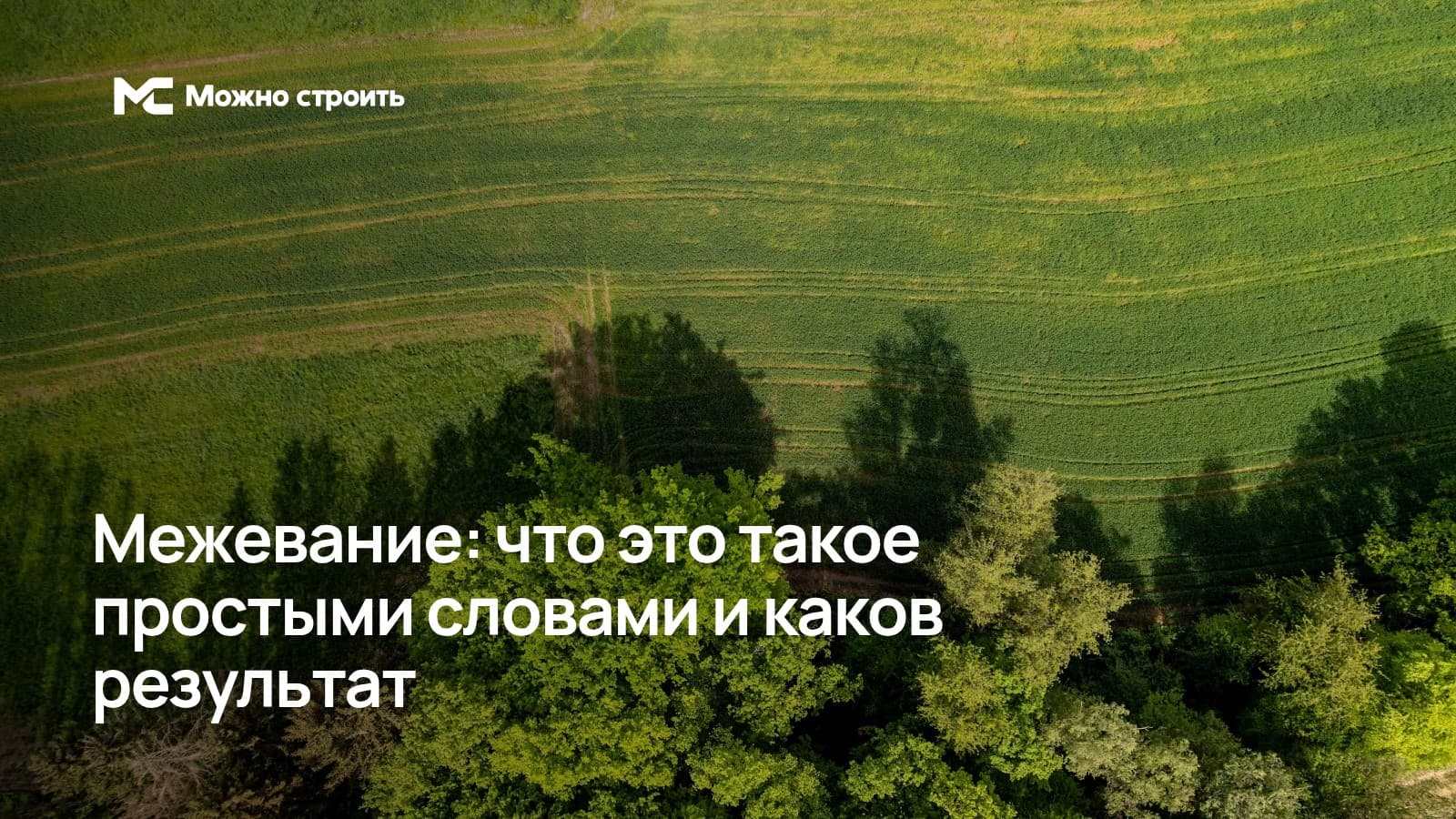 Фотографическая иллюстрация к статье о результате межевания участка